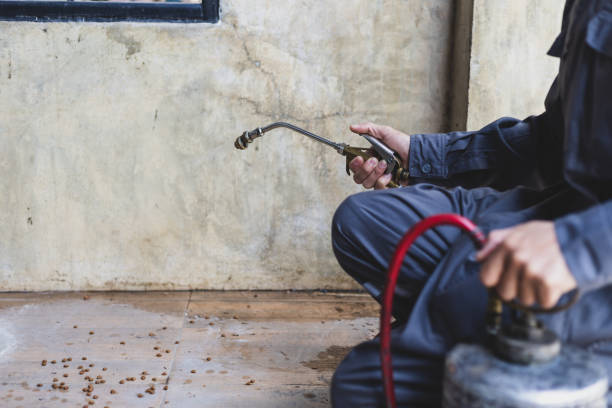 Best Residential Pest Control  in Durango, CO